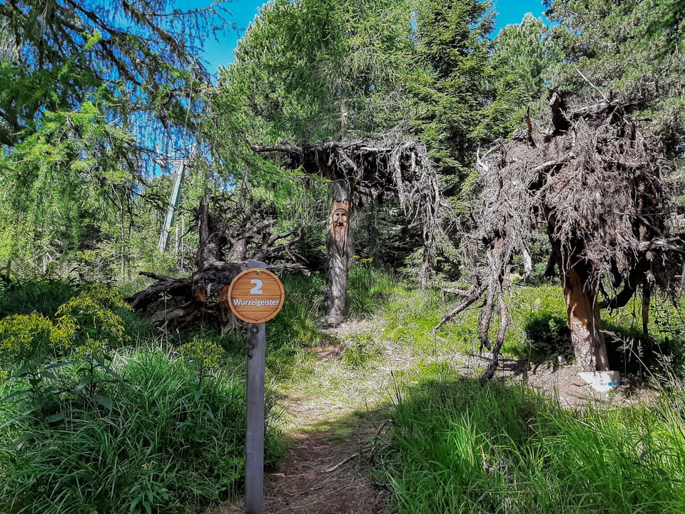 Hiking