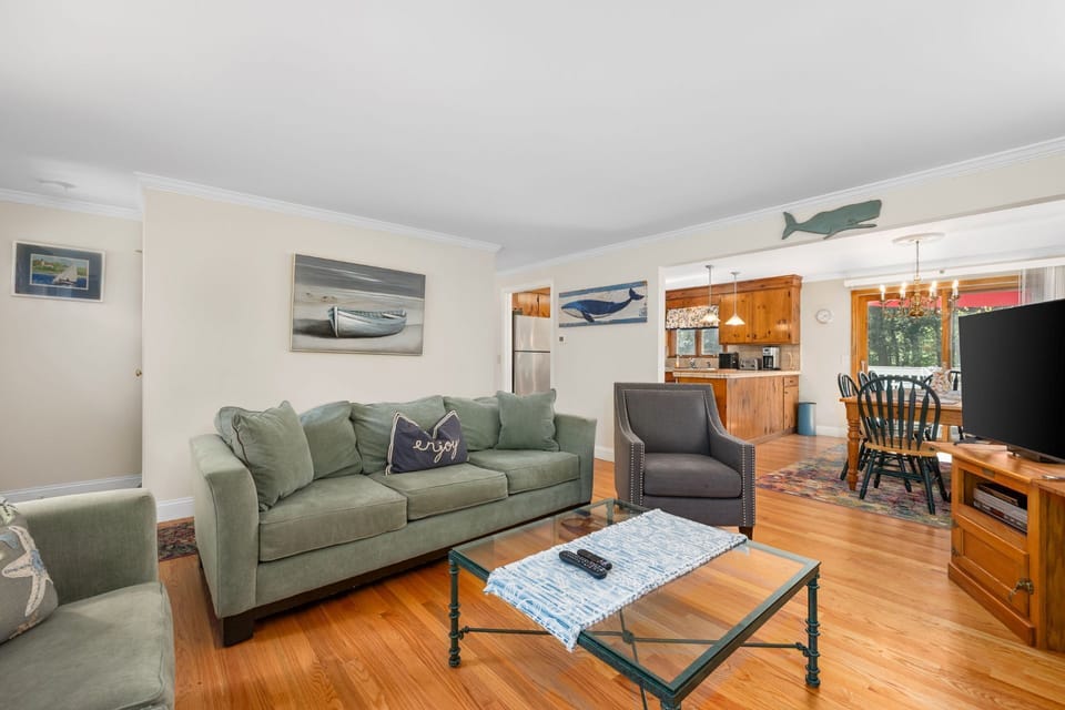 Comfy seating in Living room - 209 Indian Hill Road Chatham Cape Cod New England Vacation Rentals