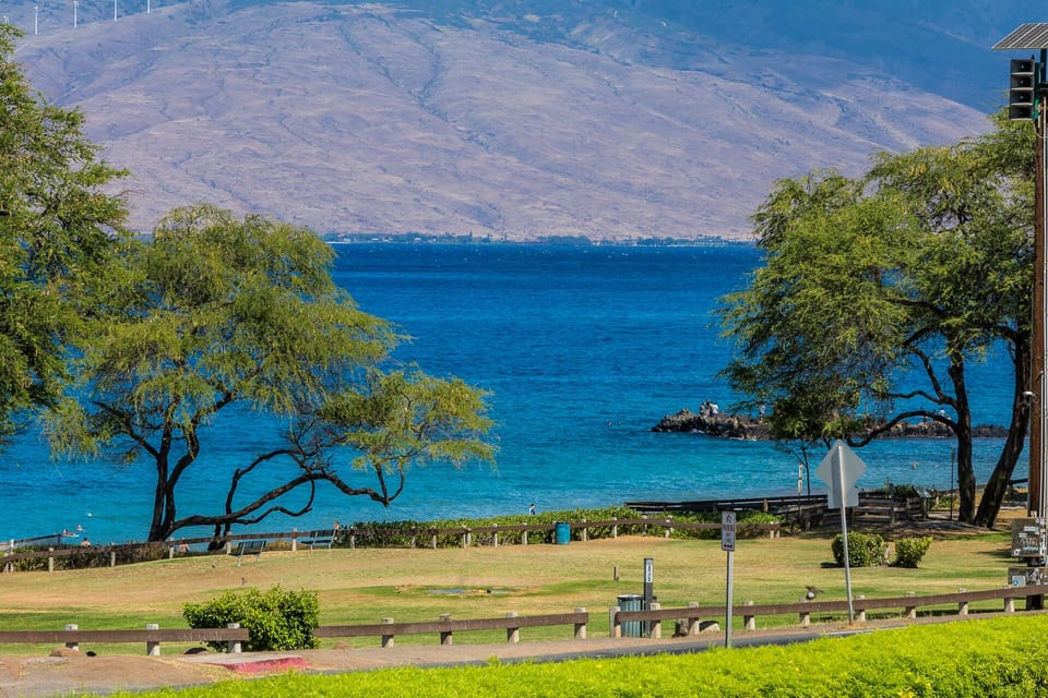 Kamaole Beach Park - Across the street