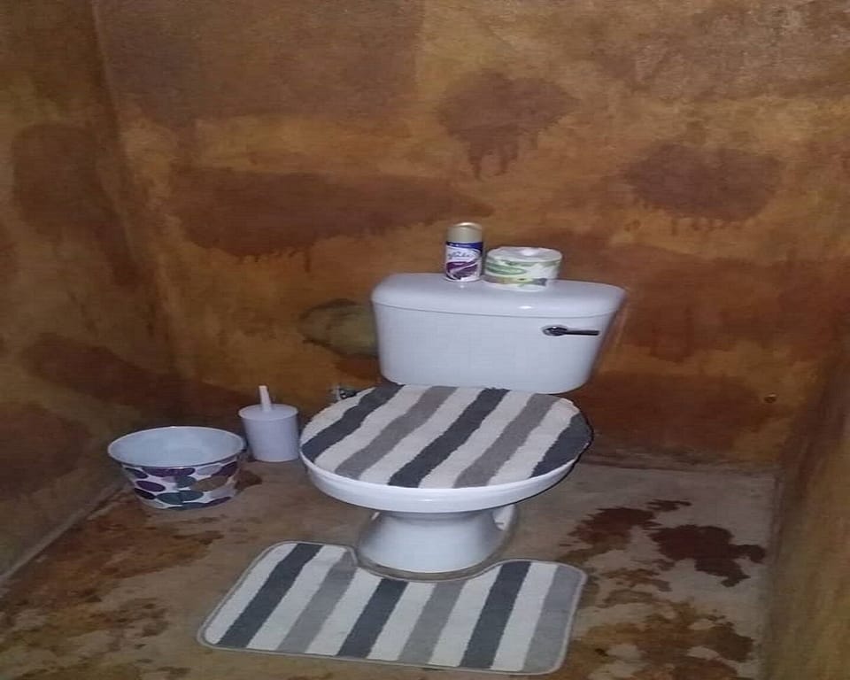 Shower, towels, toilet paper