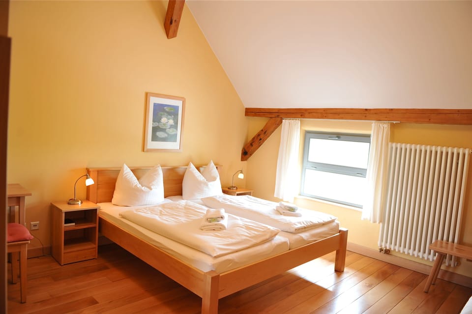 Classic Double Room | Hypo-allergenic bedding, desk, blackout drapes, iron/ironing board