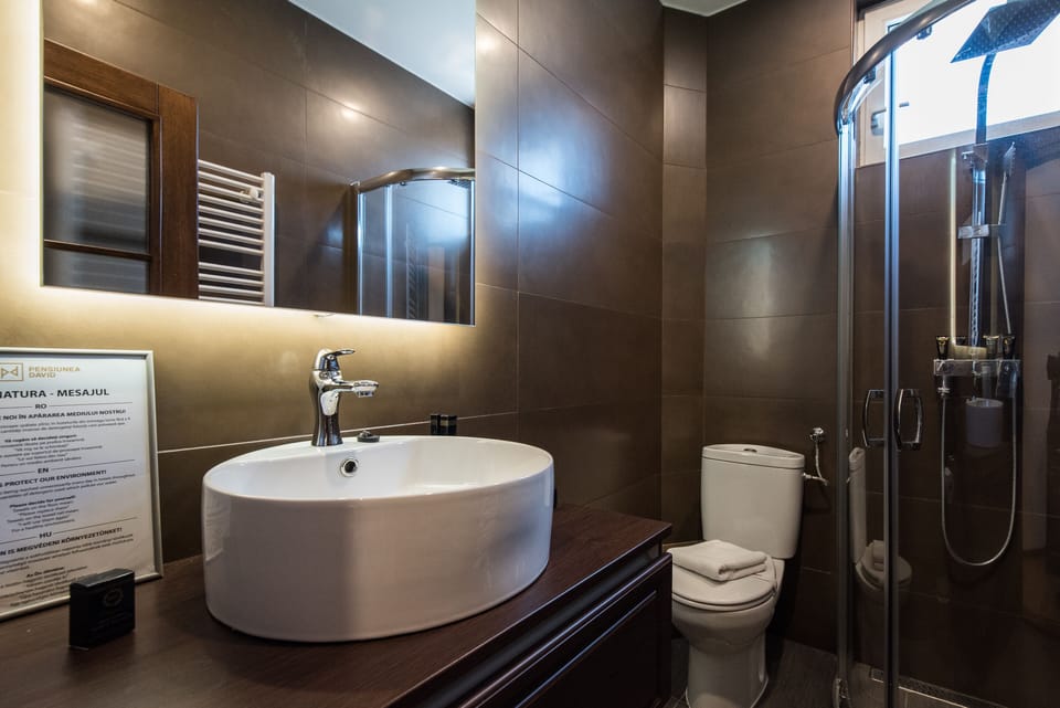 Deluxe Room | Bathroom | Shower, rainfall showerhead, hair dryer, slippers
