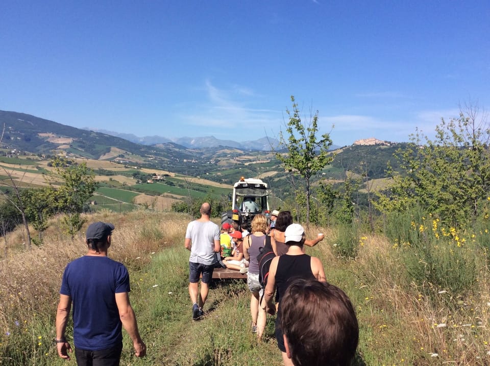 Hiking