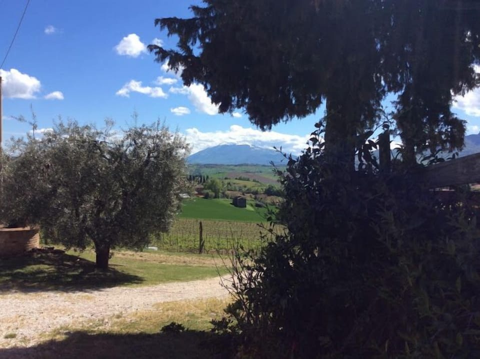 Apartment, 3 Bedrooms, Patio, Garden Area (Italia) | Mountain view