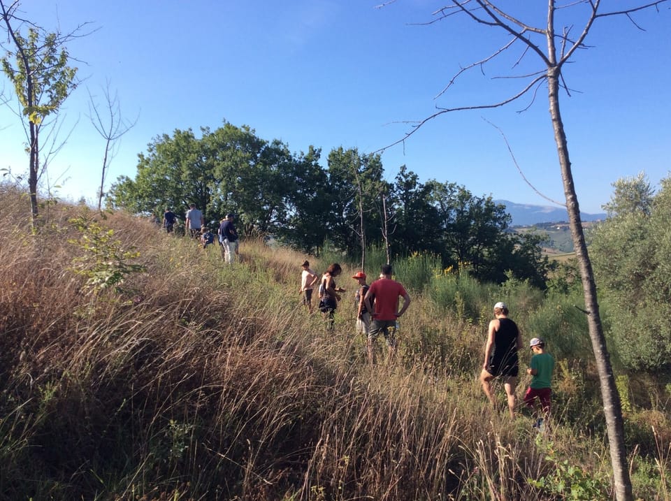 Hiking
