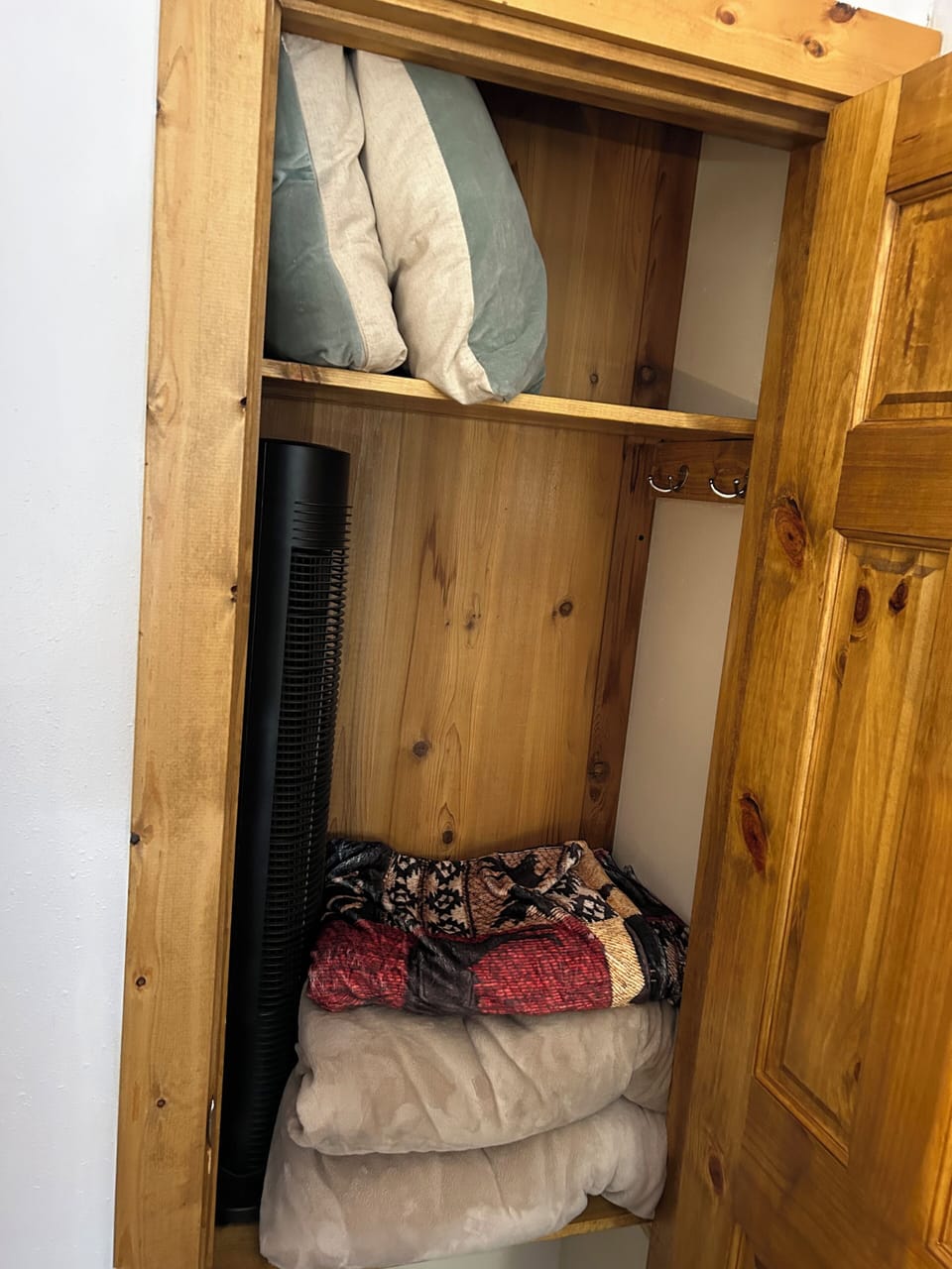 Lower level bedroom closet