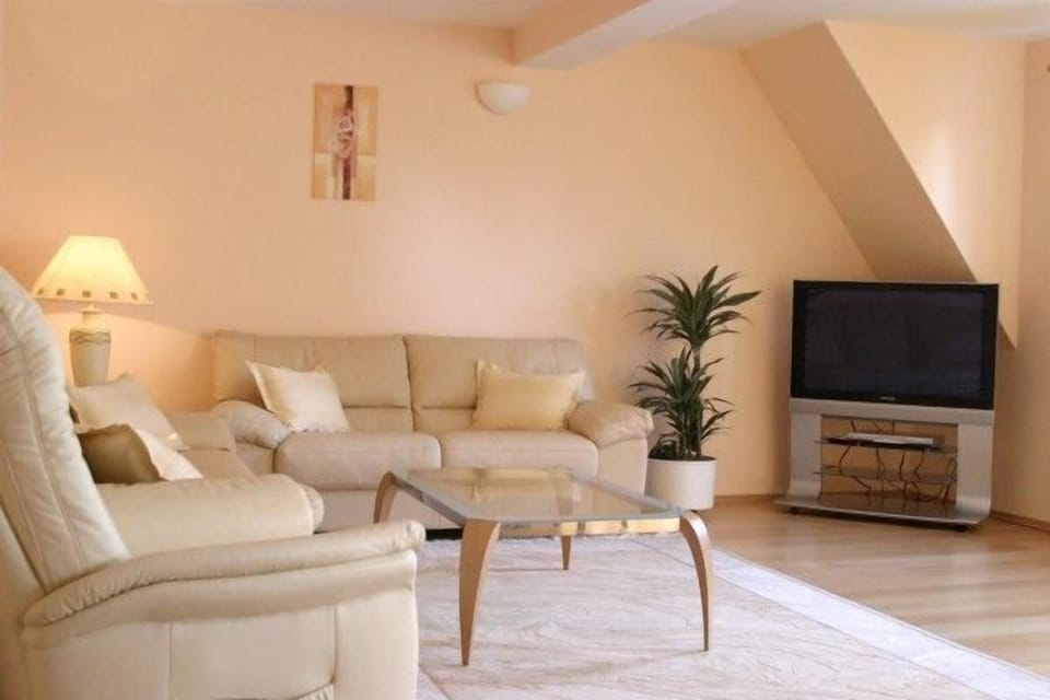 Apartment | Living room | Flat-screen TV