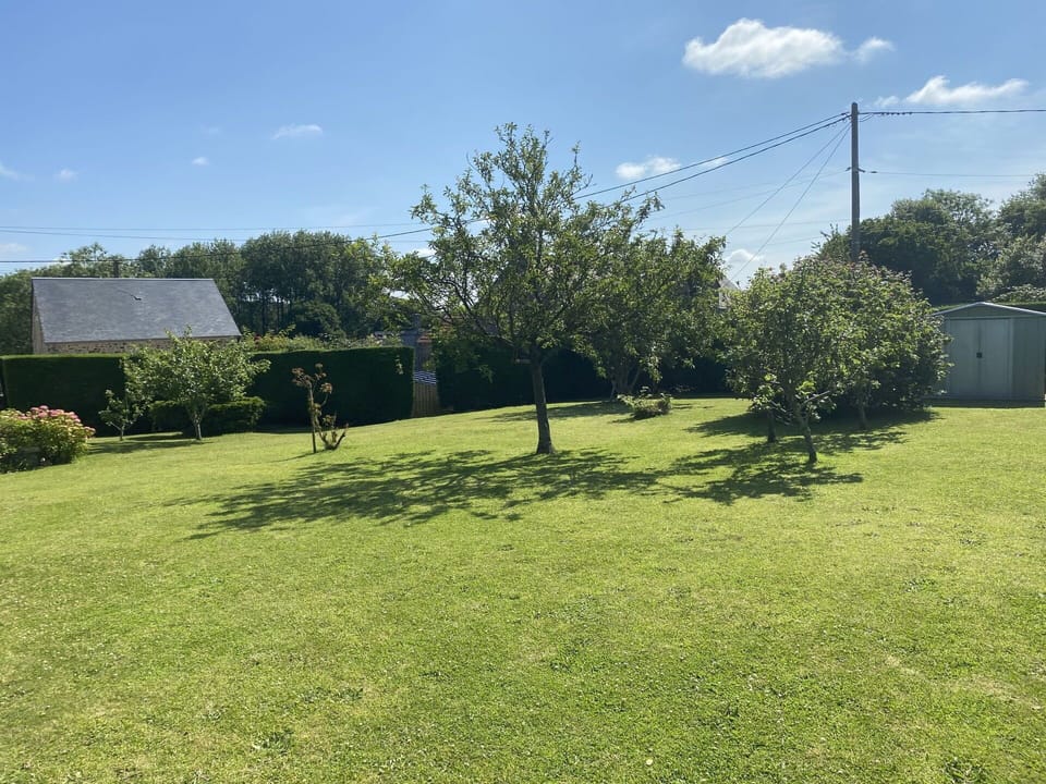 Tree, Grass, Shrub, Garden, Grassland, Land Lot, Lawn, Plain, Groundcover