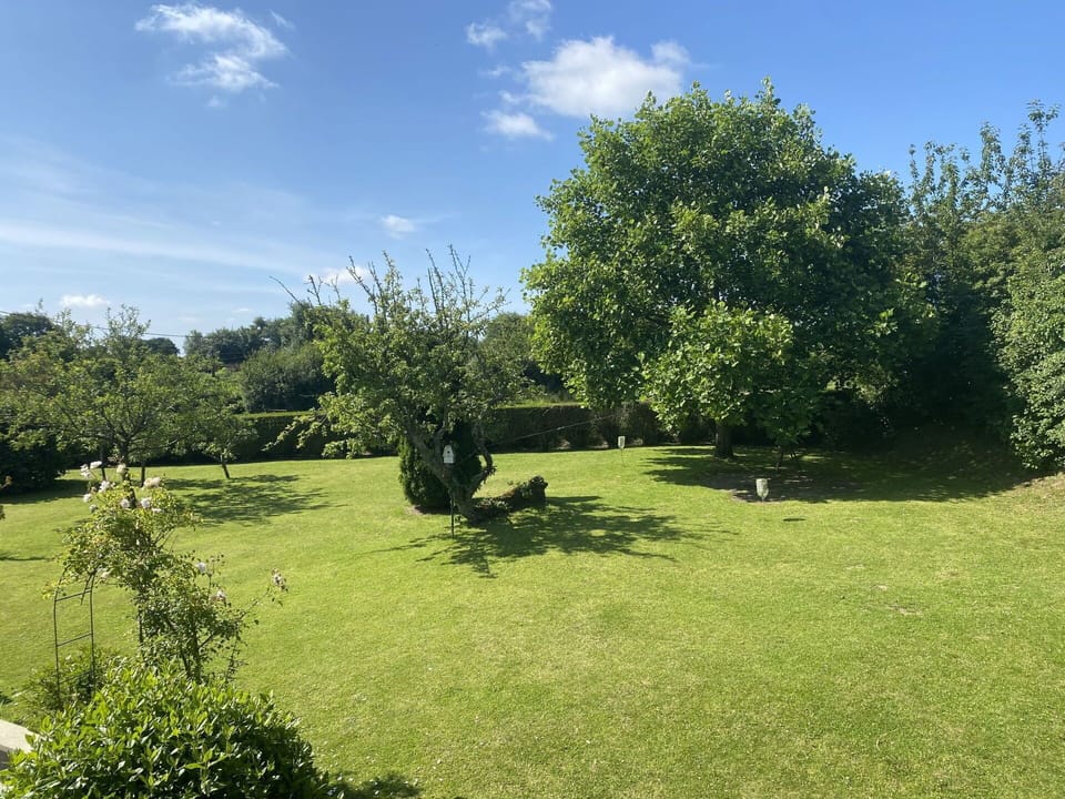 Tree, Grass, Natural Environment, Nature, Grassland, Shrub, Garden, Plain, Land Lot, Lawn