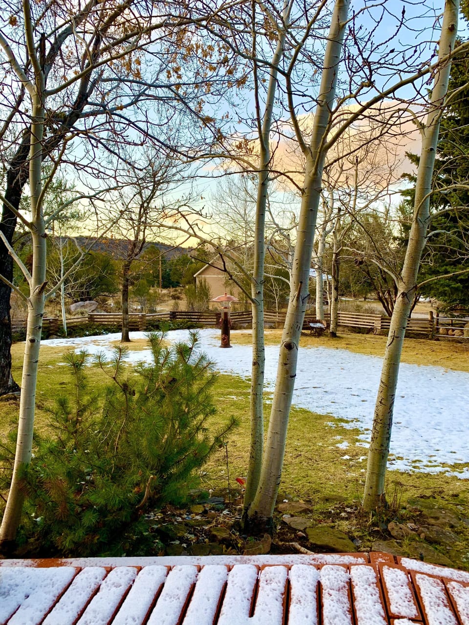 Falls first snow. Don’t forget to stop and grab your wood bundles.  