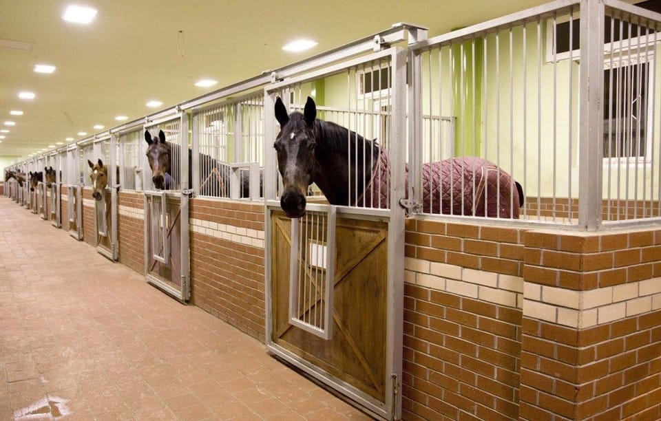 Property amenity