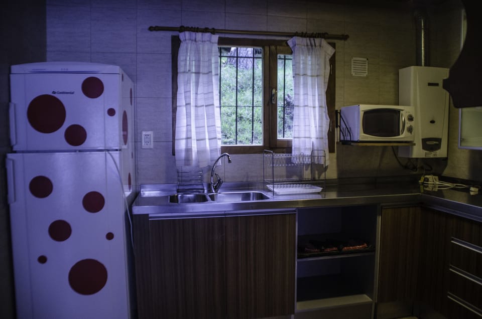 Apartment, 2 Bedrooms | Private kitchen | Full-size fridge, microwave, stovetop, coffee/tea maker