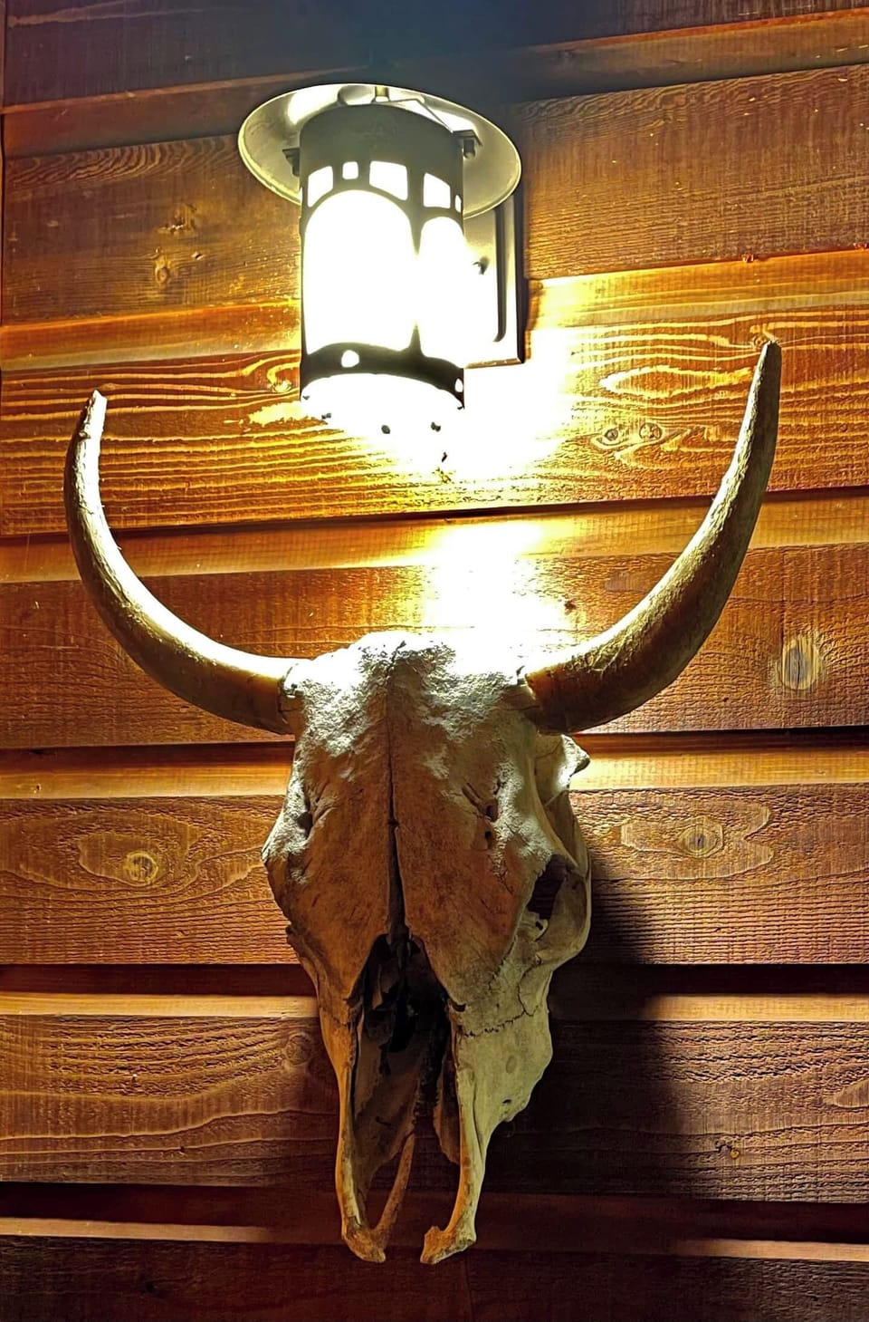 Fun western decor. 