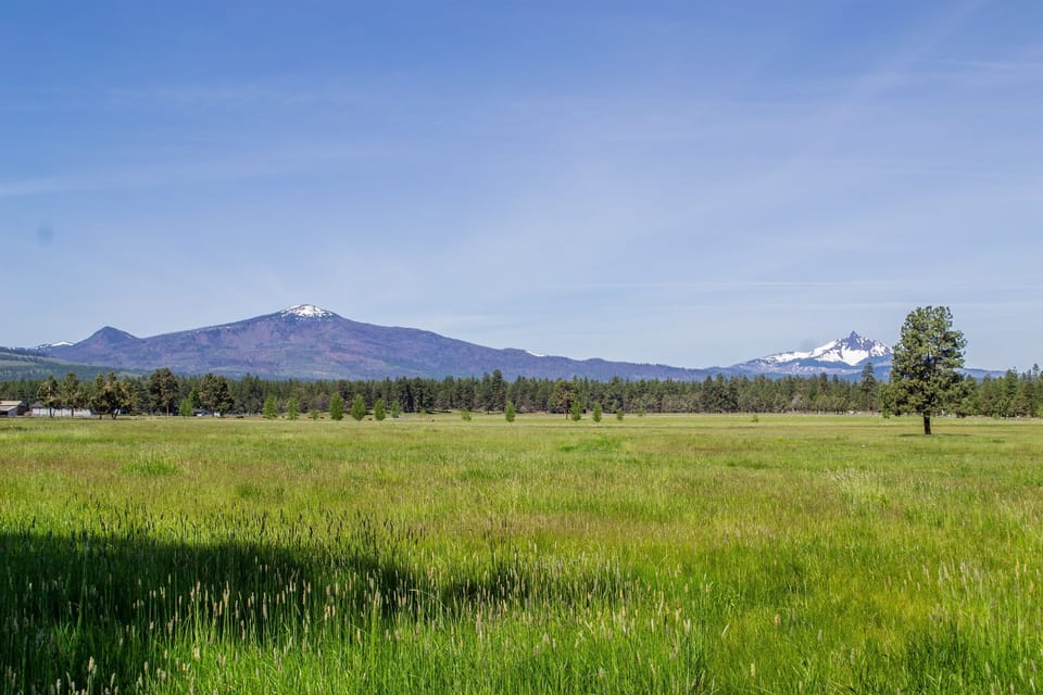 View behind units this summer