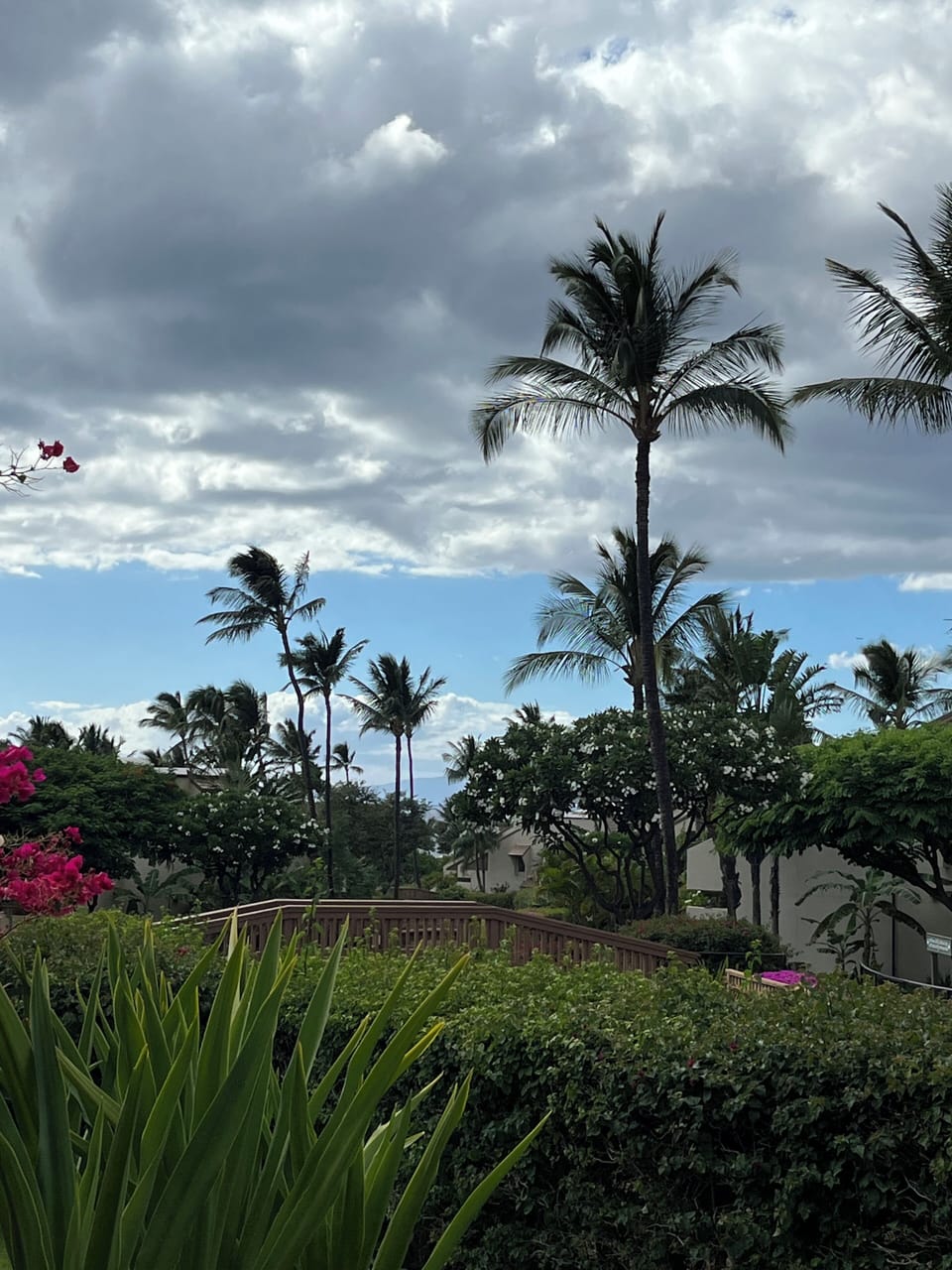 Peek-a-boo view from the rear lanai.