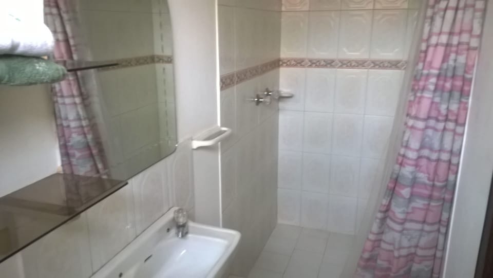 Shower, towels, soap, toilet paper
