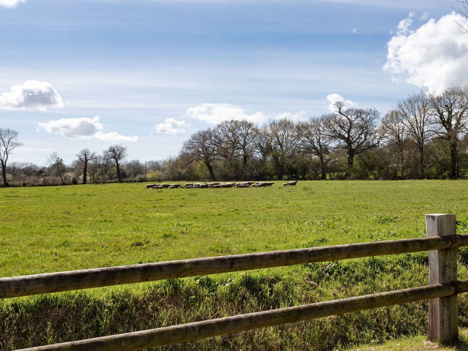 Cloud, Sky, Plant, Ecoregion, Fence, Natural Landscape, Tree, Land Lot, Grass