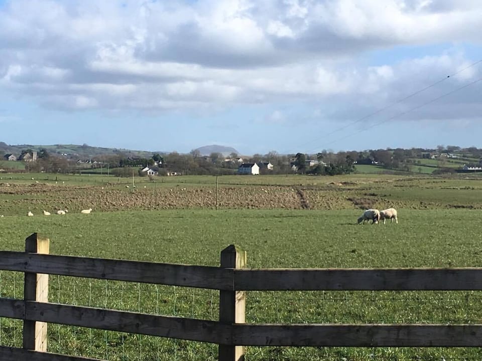 Slemish Mountain in the distance 