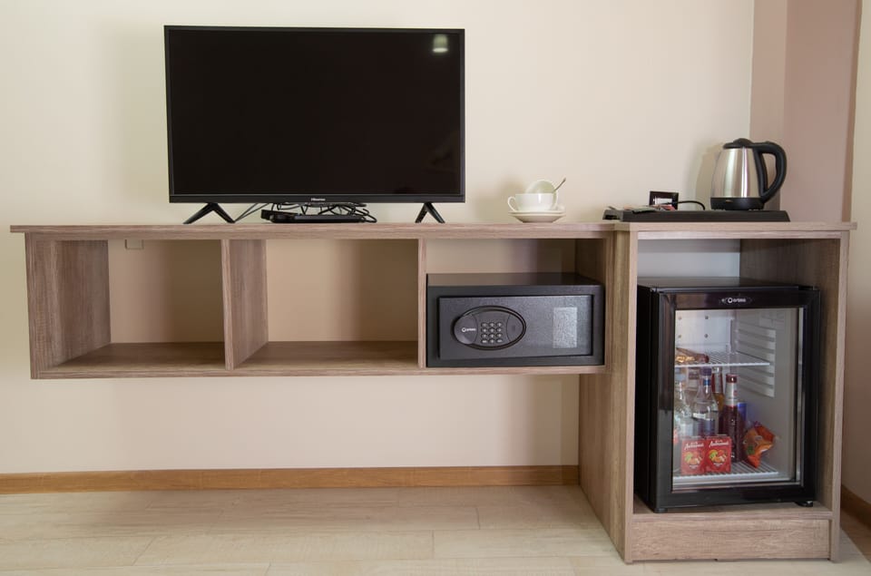 Television