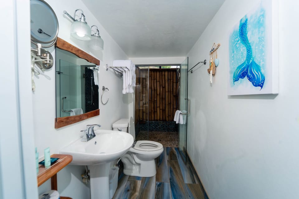 Basic Room | Bathroom | Shower, rainfall showerhead, towels, soap