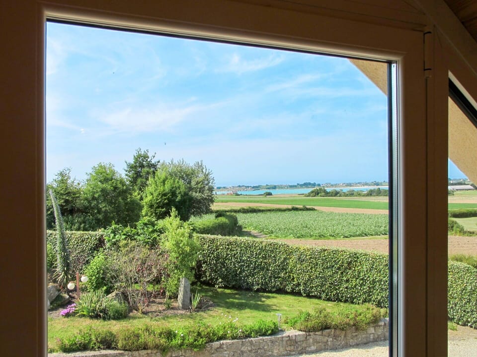 Natural Landscape, Window, Grass, Tree, Shade, Landscape, Room, Home, Glass, Land Lot