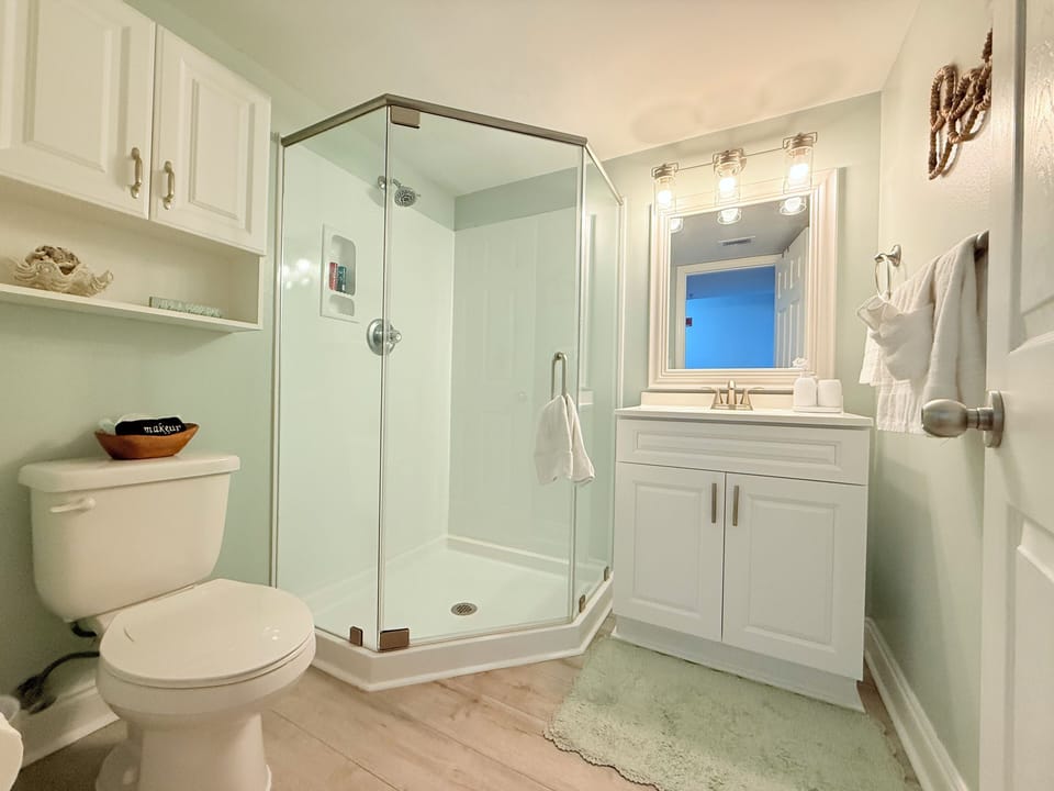 Guest bathroom frameless shower