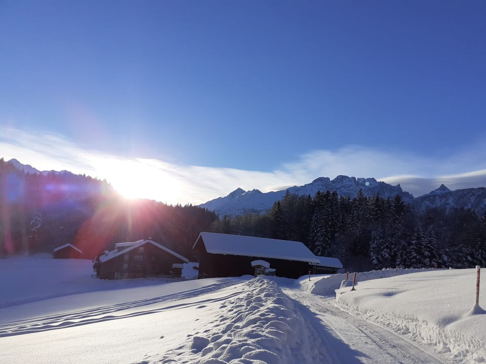 Snow and ski sports