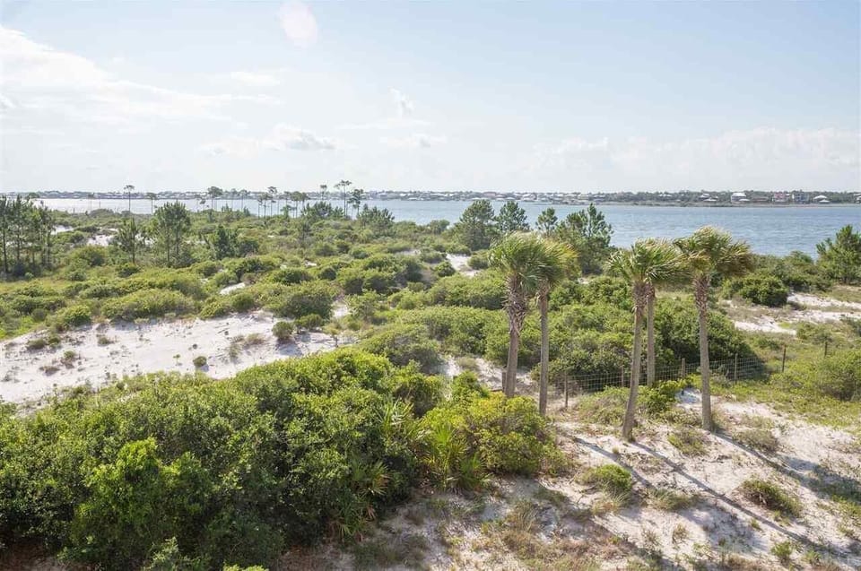 View from balcony of State Park. 