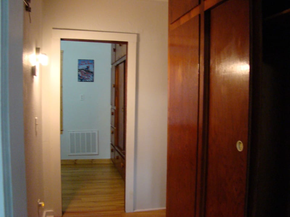 Hall Hanging Closet