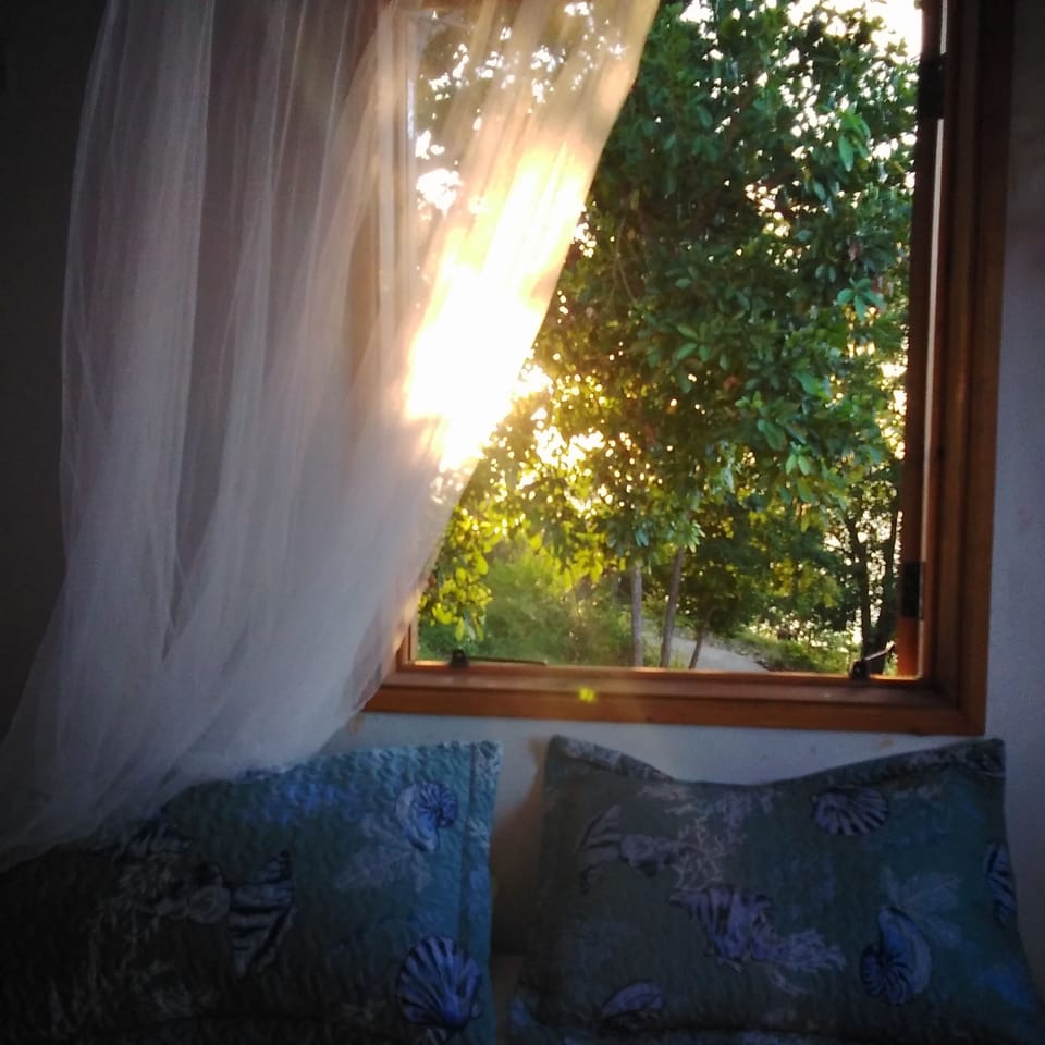 large screened windows open to the sea