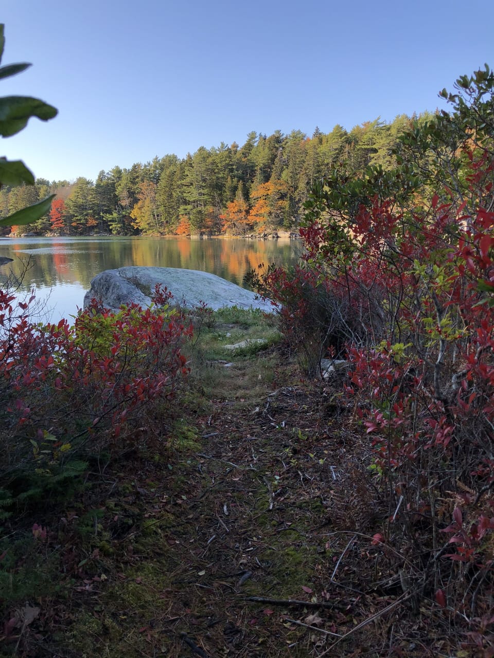 or maybe another fall photo.