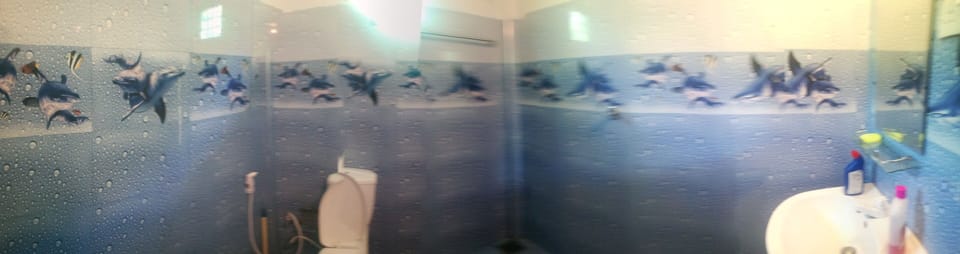Basic Room | Bathroom | Shower, free toiletries, towels