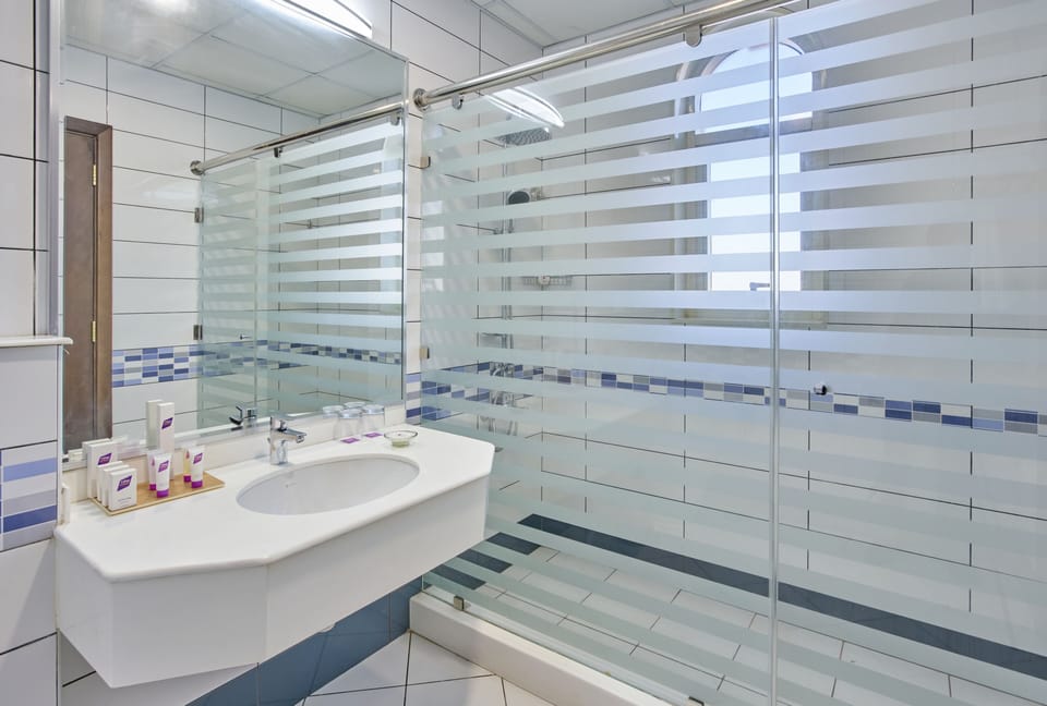 Deluxe Twin Room | Bathroom | Shower, free toiletries, hair dryer, slippers