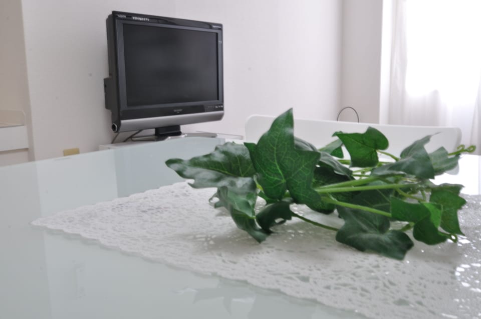 2 Bedrooms Apartment | Room amenity