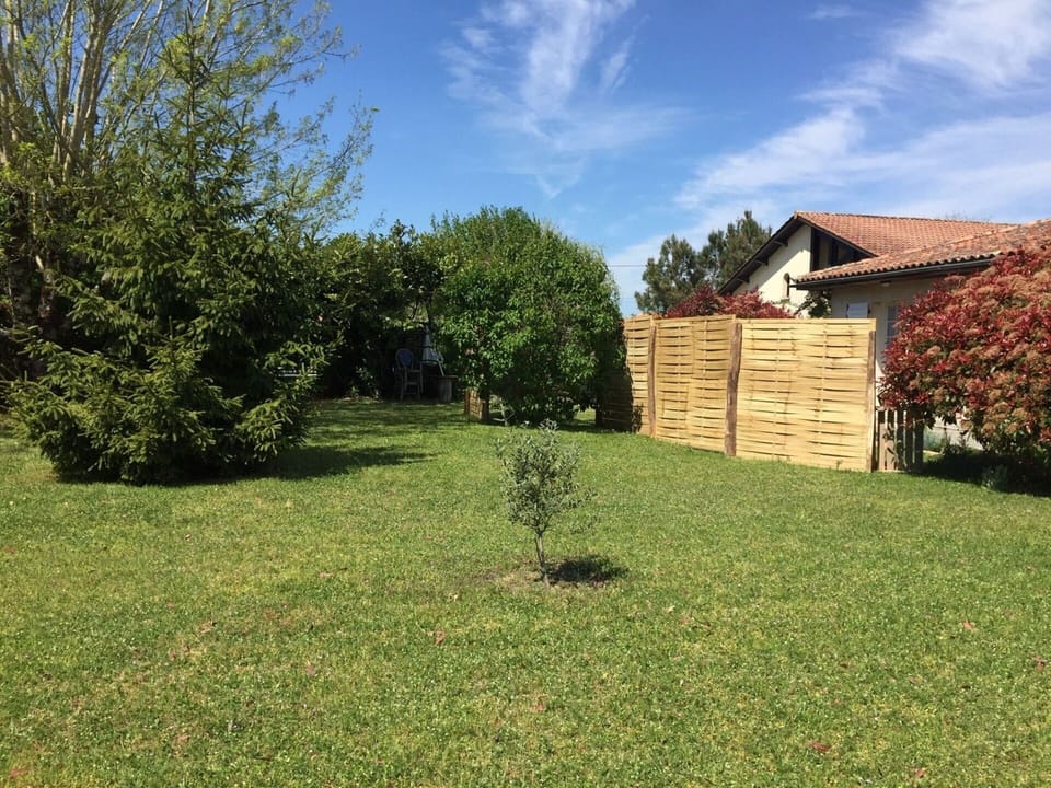 Sky, Cloud, Plant, Property, Building, Natural Landscape, Land Lot, Tree, Grass, Shrub
