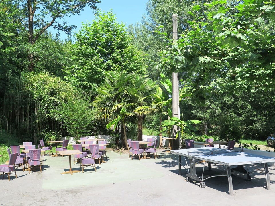 Plant, Nature, Swimming Pool, Shade, Tree, Sky, Outdoor Furniture, Sunlounger, Leisure, Arecales