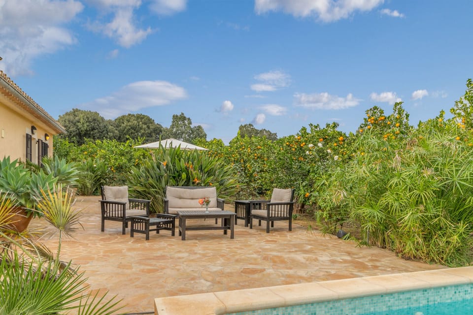 Beautiful villa with swimming pool