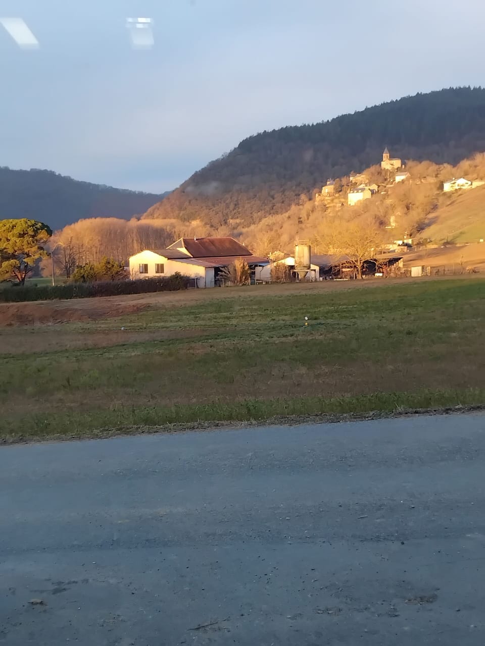 Miscellaneous