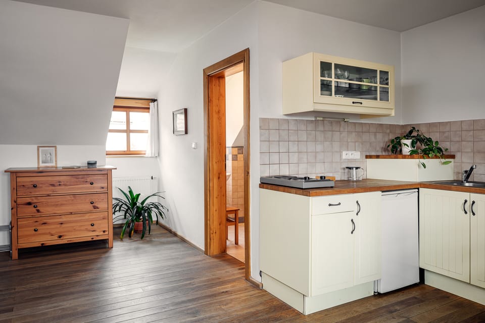 Standard Apartment | Private kitchen | Fridge, stovetop, electric kettle, cookware/dishes/utensils