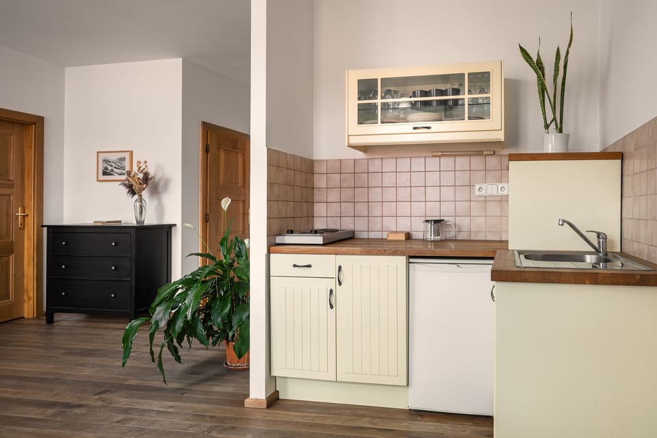 City Apartment | Private kitchen | Fridge, stovetop, electric kettle, cookware/dishes/utensils