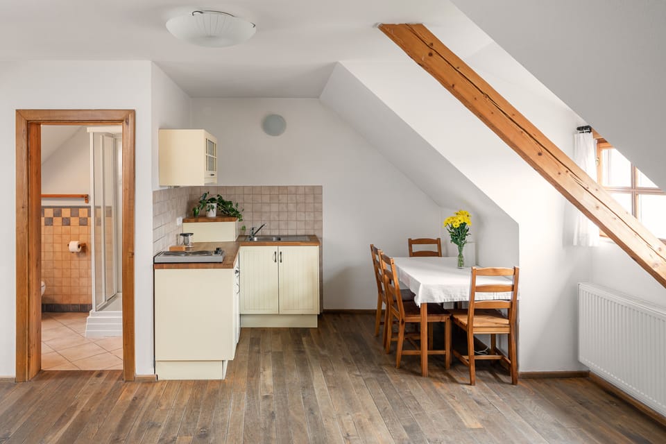 Standard Apartment | Private kitchen | Fridge, stovetop, electric kettle, cookware/dishes/utensils