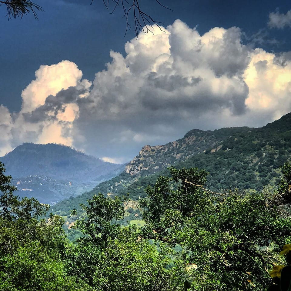 a storm’s abrewin’ up in the park