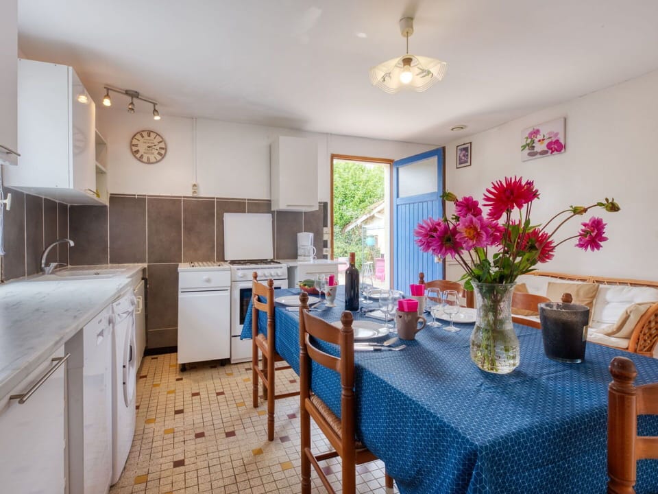 Furniture, Property, Cabinetry, Flower, Plant, Table, Countertop, Azure, Interior Design, Vase
