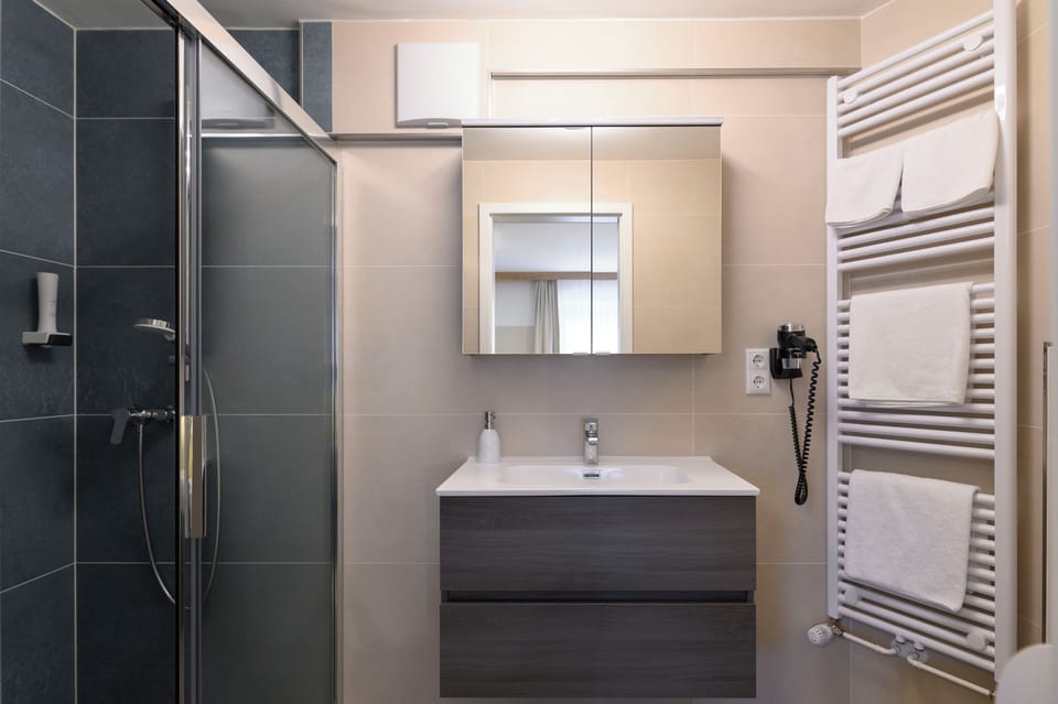 Shower, hair dryer, towels