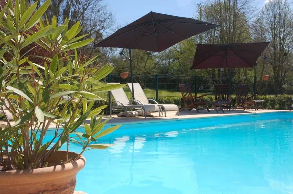 Superb heated pool with roman steps and solar shower.