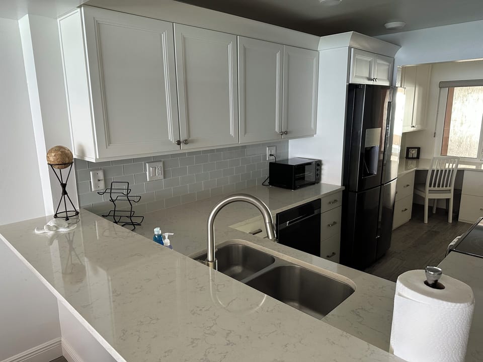 Kitchen with high-end Stainless Appliances