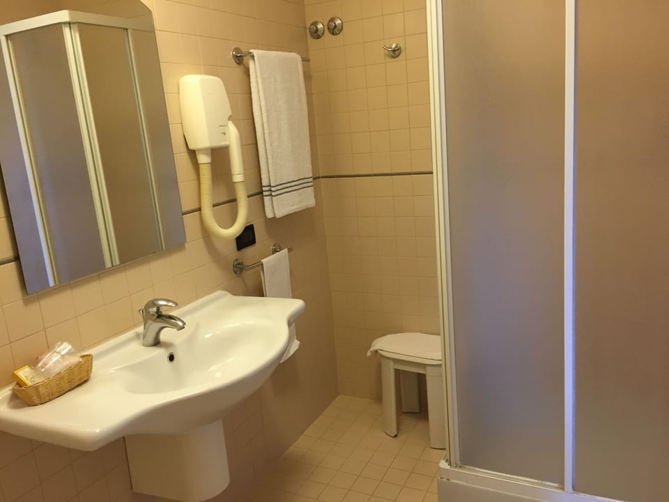 Shower, free toiletries, hair dryer, bidet