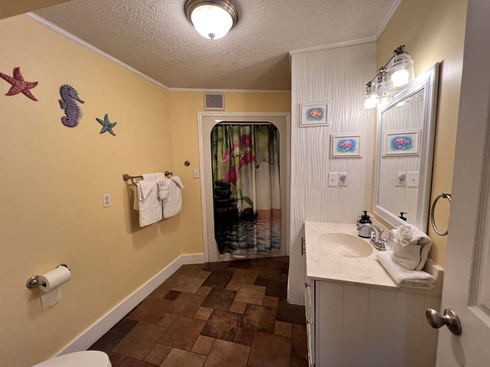 Full bath downstairs