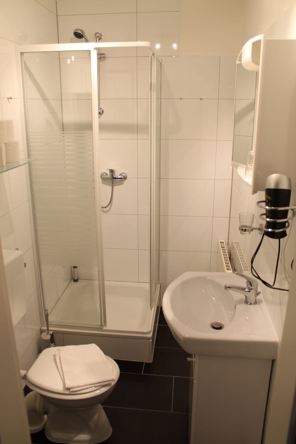 Shower, hair dryer, towels
