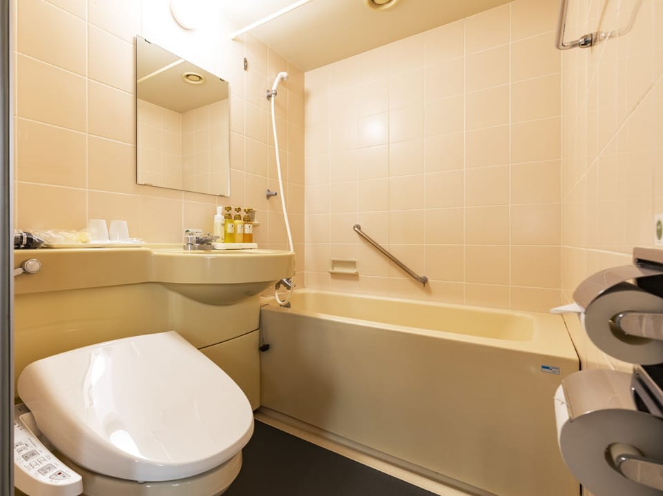 Combined shower/tub, free toiletries, hair dryer, slippers
